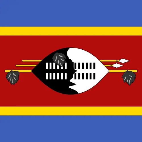 Eswatini unlimited daily eSIM